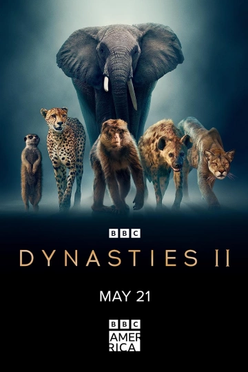 DYNASTIES ANIMALES - HYÈNES