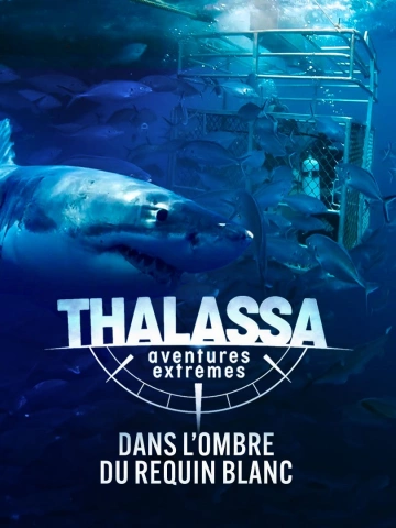 Thalassa, aventures extrêmes - Saison 1 - Dans l'ombre du requin blanc-