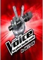 The Voice la plus belle voix - S07E13