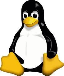 UDEMY - GNU/LINUX DE DÉBUTANT À CONFIRMÉ EN QUELQUES HEURES [Tutoriels]