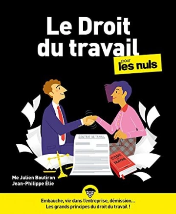 LE DROIT DU TRAVAIL POUR LES NULS - JULIEN BOUTIRON  [Livres]