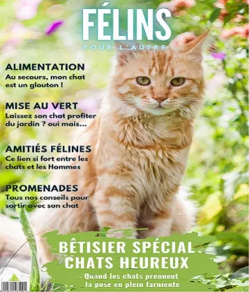 Félins Pour L’autre N°11 – Mai 2022  [Magazines]