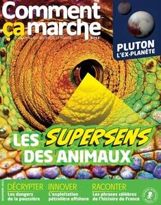 Comment Ça Marche - Novembre 2023  [Magazines]