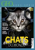 Géo Hors-Série Best-Seller N°1 - Chats Du Monde  [Magazines]