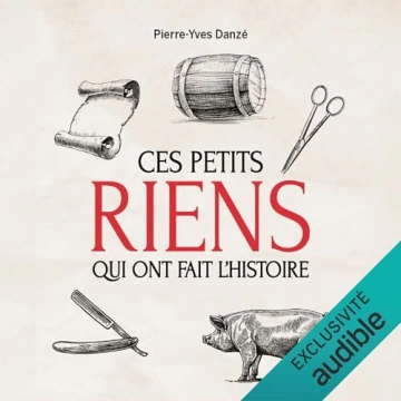 Ces petits riens qui ont fait l'histoire   Pierre-Yves Danze  [AudioBooks]