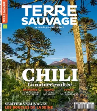 Terre Sauvage N°382 – Novembre 2020  [Magazines]