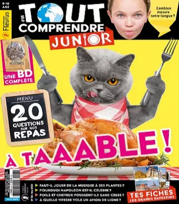 Tout Comprendre Junior N°98 – Mai 2021  [Magazines]