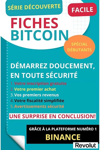 Fiches Bitcoin Demarrez Doucement En Toute Securité  [Livres]