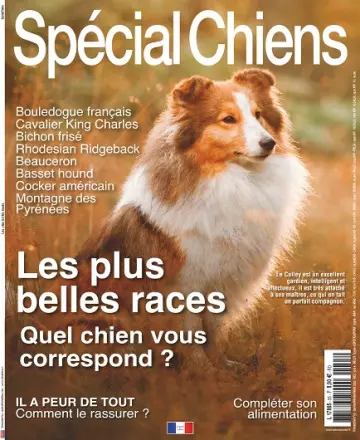 Spécial Chiens N°55 – Janvier-Mars 2022  [Magazines]