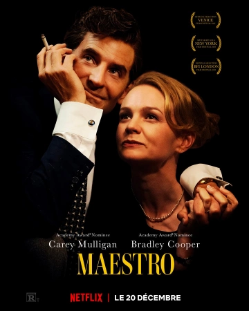 Maestro [HDRIP] - FRENCH