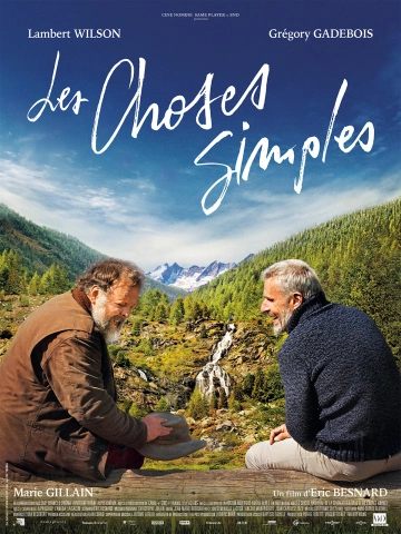 Les Choses simples  [WEB-DL 1080p] - FRENCH