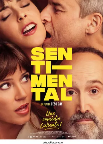 Sentimental  [HDRIP] - FRENCH