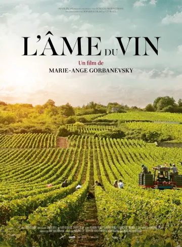 L'Âme du vin  [WEB-DL 1080p] - FRENCH