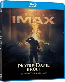 Notre-Dame brûle  [HDLIGHT 1080p] - FRENCH