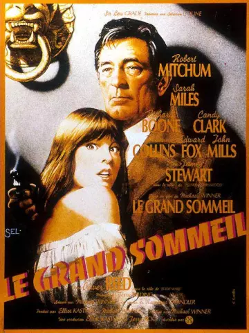 Le Grand sommeil  [BDRIP] - FRENCH