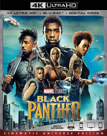 Black Panther  [WEB-DL 4K] - MULTI (TRUEFRENCH)