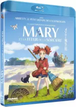 Mary et la fleur de la sorcière  [HDLIGHT 1080p] - FRENCH