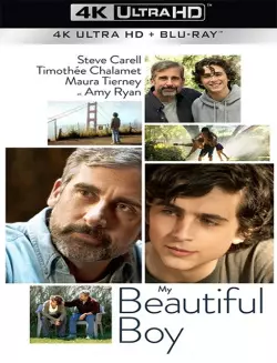 My Beautiful Boy  [WEB-DL 4K] - MULTI (TRUEFRENCH)