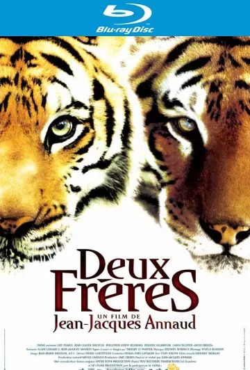 Deux frères [BLU-RAY 1080p] - MULTI (FRENCH)