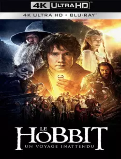 Le Hobbit : un voyage inattendu  [BLURAY 4K] - MULTI (FRENCH)