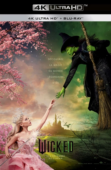 Wicked [WEBRIP 4K] - MULTI (FRENCH)