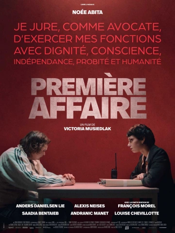 Première Affaire  [WEBRIP] - FRENCH