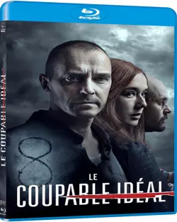 Le Coupable idéal  [HDLIGHT 720p] - FRENCH