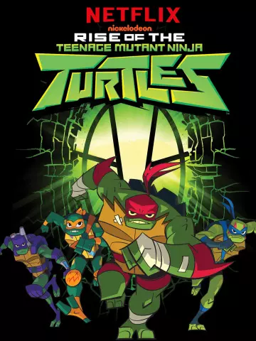 Le Destin des Tortues Ninja : Le film  [HDRIP] - FRENCH