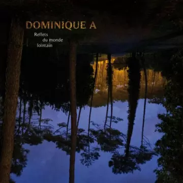 Dominique A - Reflets du monde lointain  [Albums]