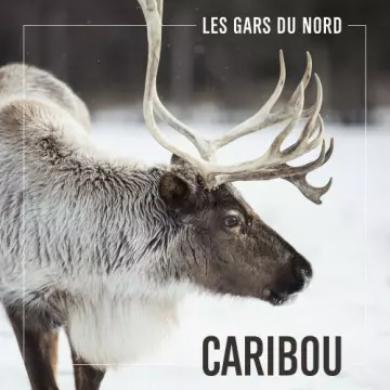 Les Gars du Nord - Caribou  [Albums]