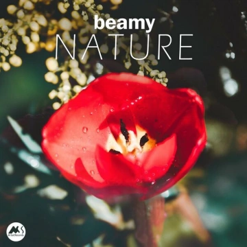 Beamy - Nature  [Albums]