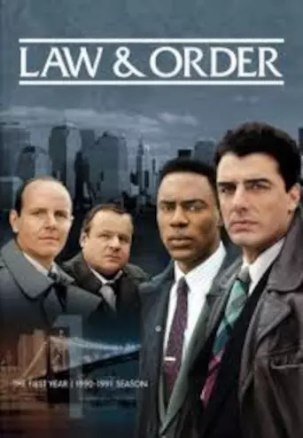 New York District / New York Police Judiciaire - Saison 9 - VF