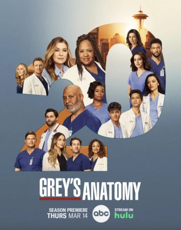 Grey's Anatomy - Saison 20 - VOSTFR